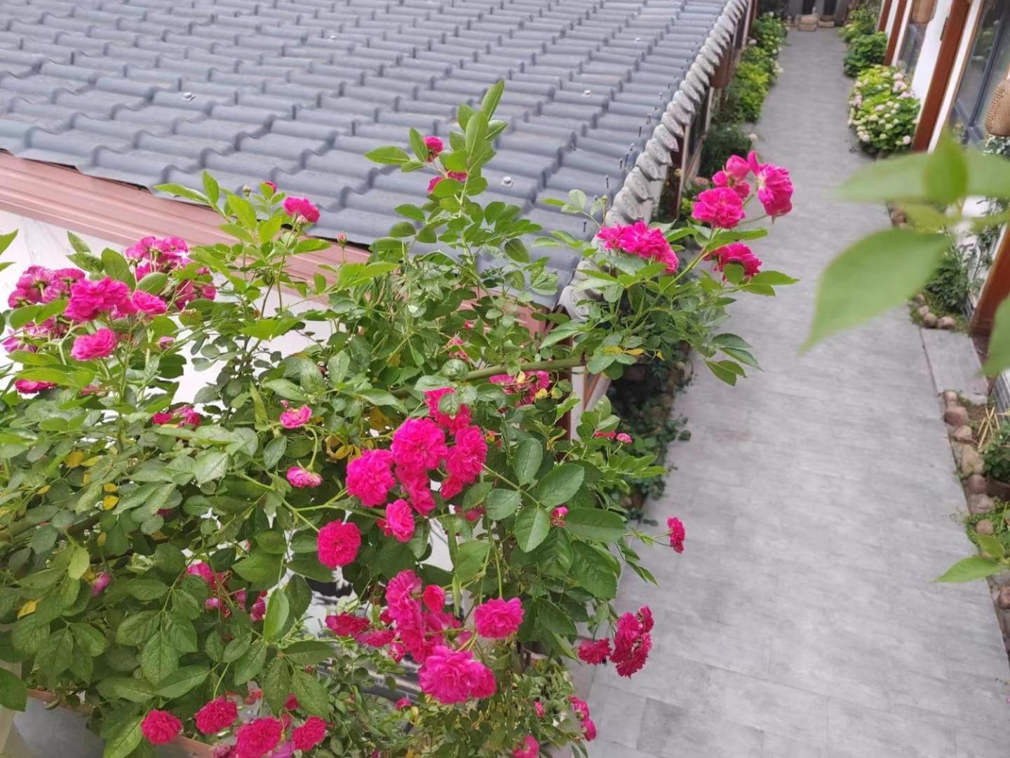 Zhangjiajie Tingyutang Little Yard 외부 사진