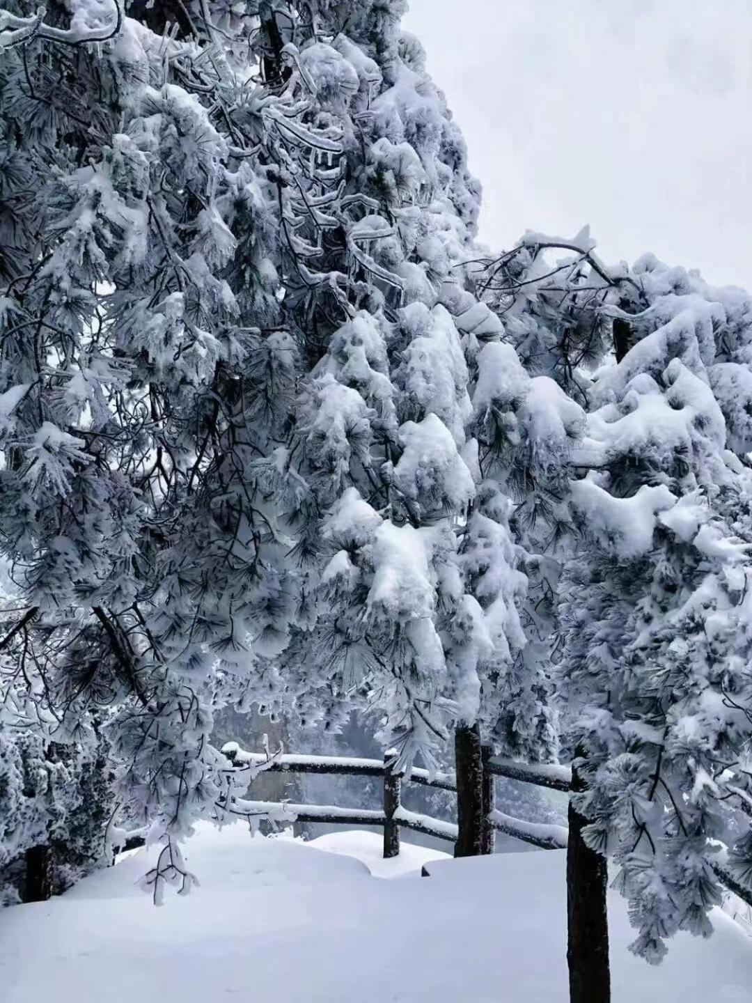 Zhangjiajie Tingyutang Little Yard 외부 사진