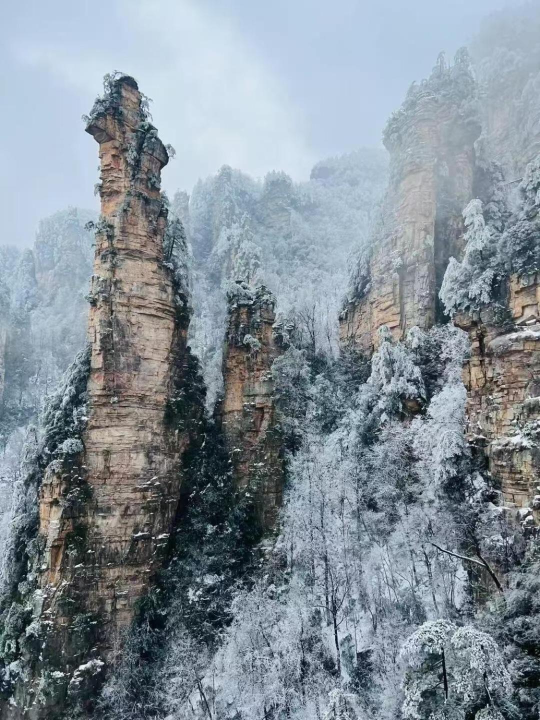 Zhangjiajie Tingyutang Little Yard 외부 사진
