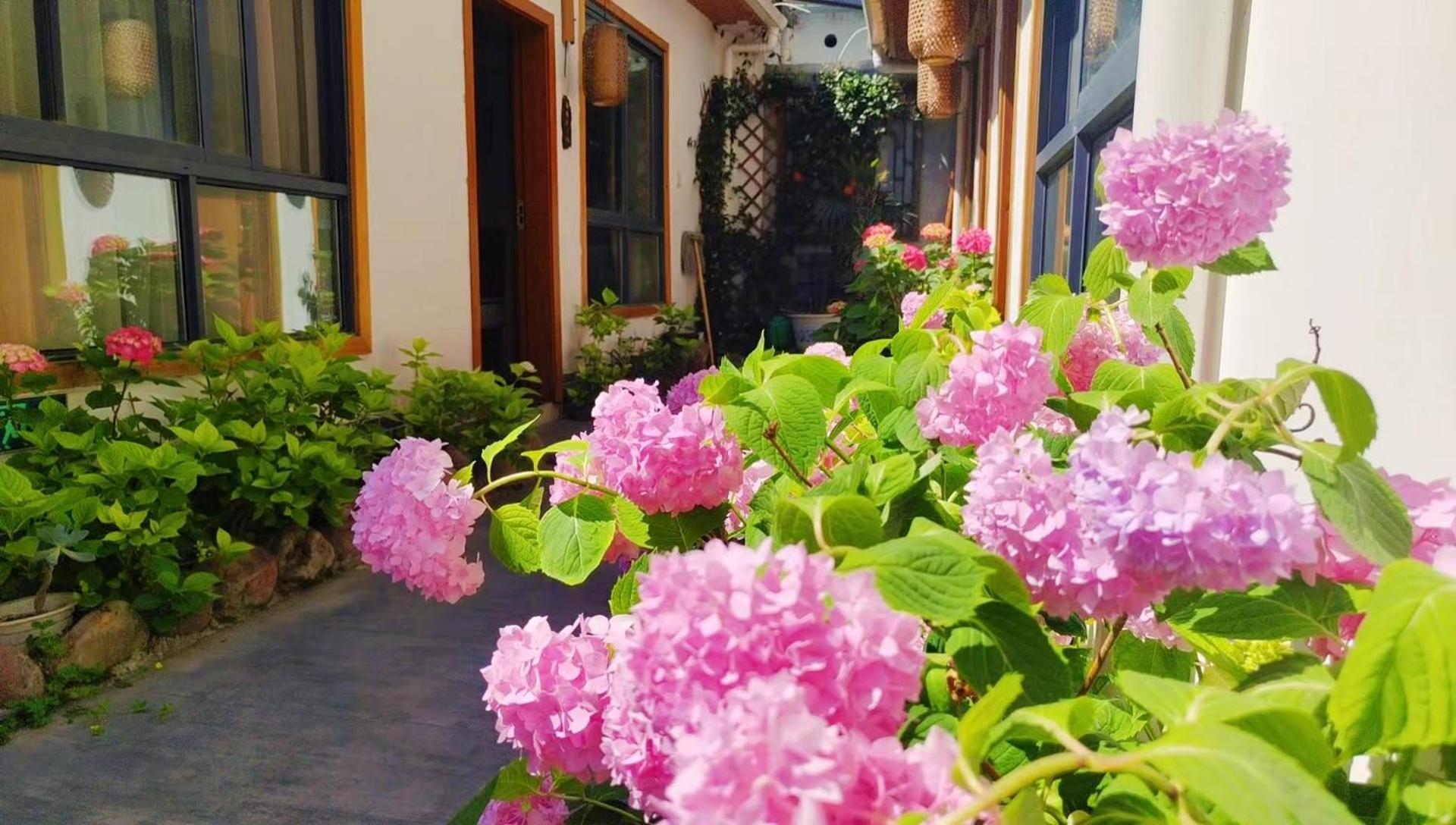 Zhangjiajie Tingyutang Little Yard 외부 사진